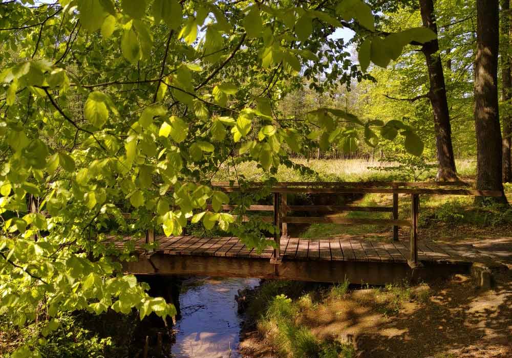 Brückenraum Dorsten -Slider Bild 9 - Brücke